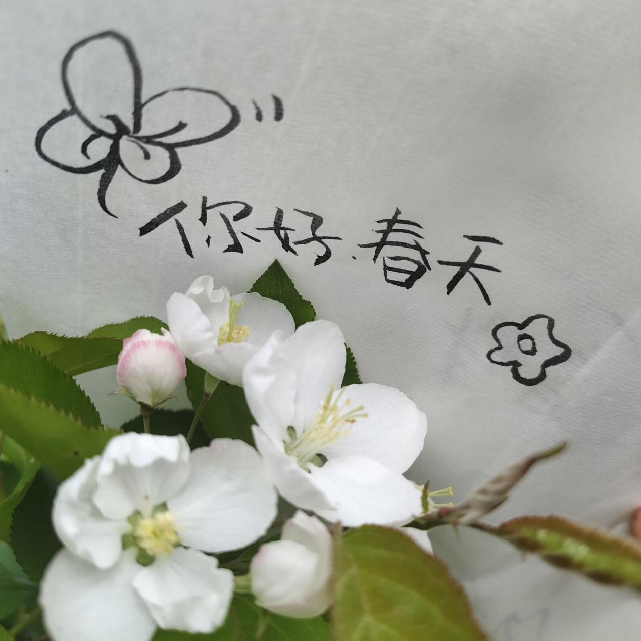 2026040811.png 2026040811.png