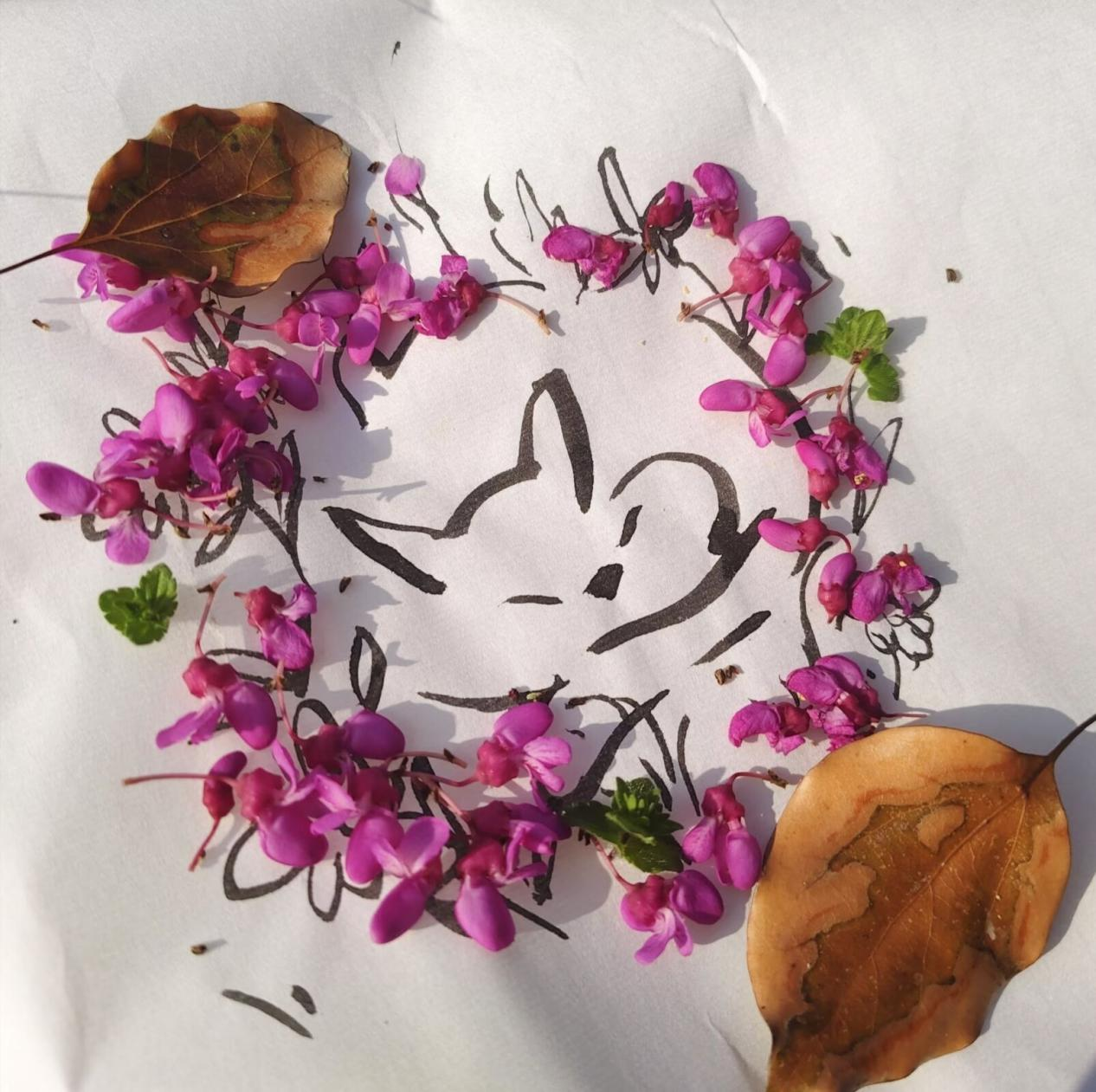 2026040812.png 2026040812.png