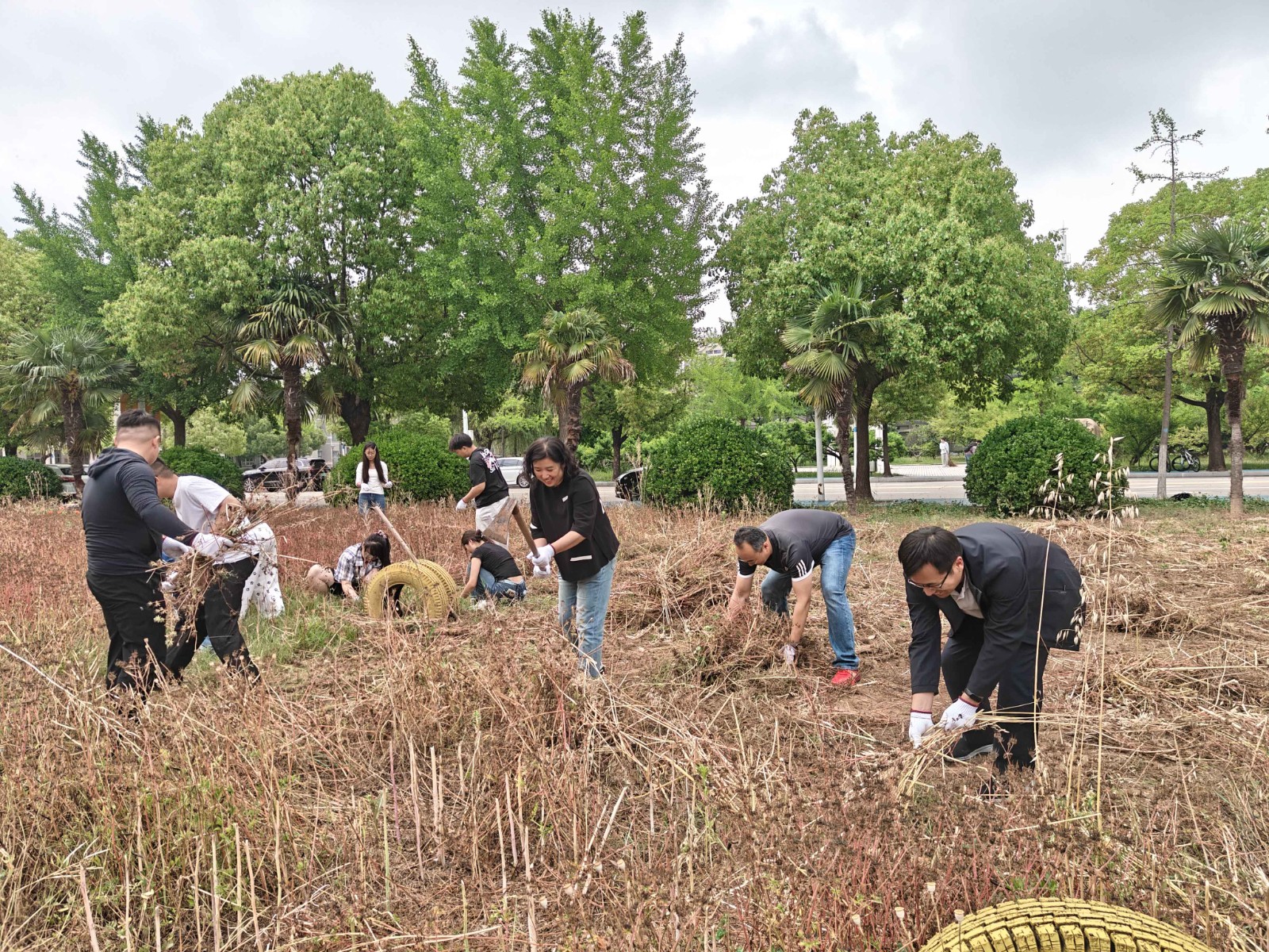 1IMG20260520162901.jpg